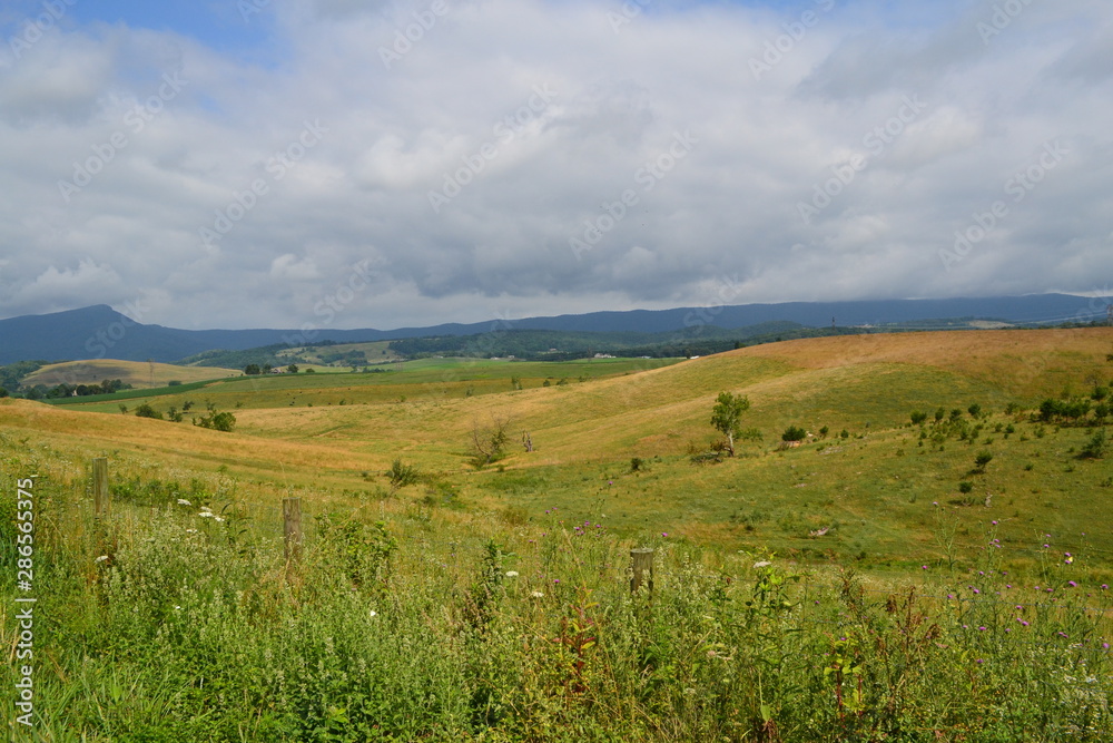 Country Day