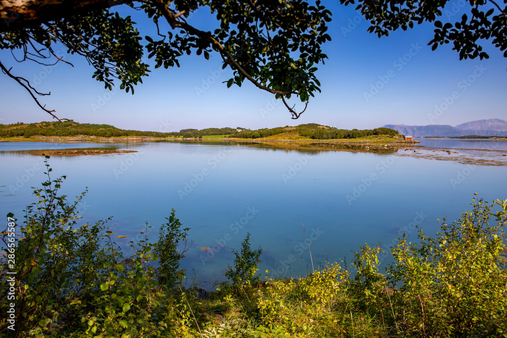 Landscape with sea and forest in Northern Norway Landscape with sea and forest in Northern Norway