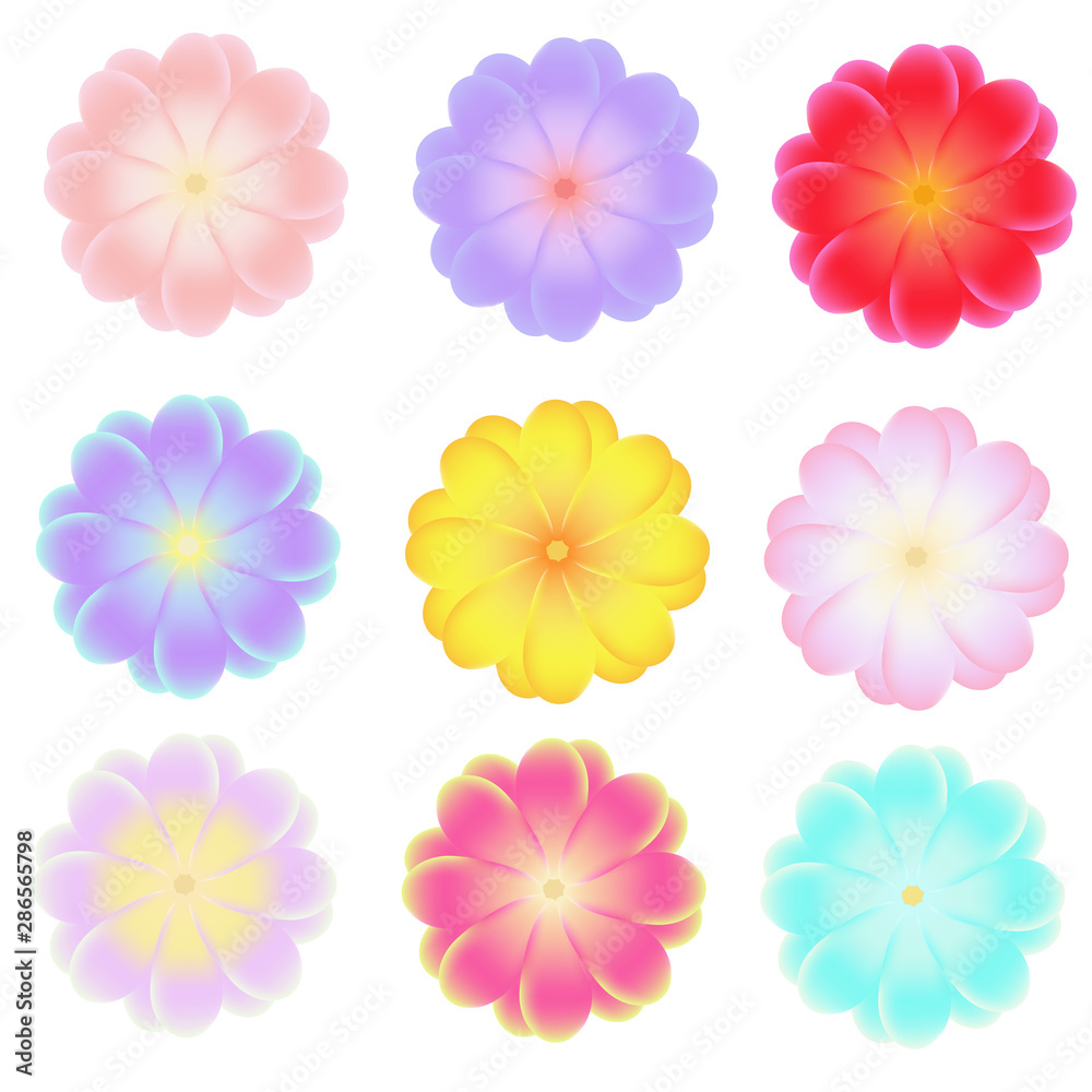 Vector isolated flowers. Clip art for banners, invitations and other design Vector isolated flowers. Clip art for banners, invitations and other design