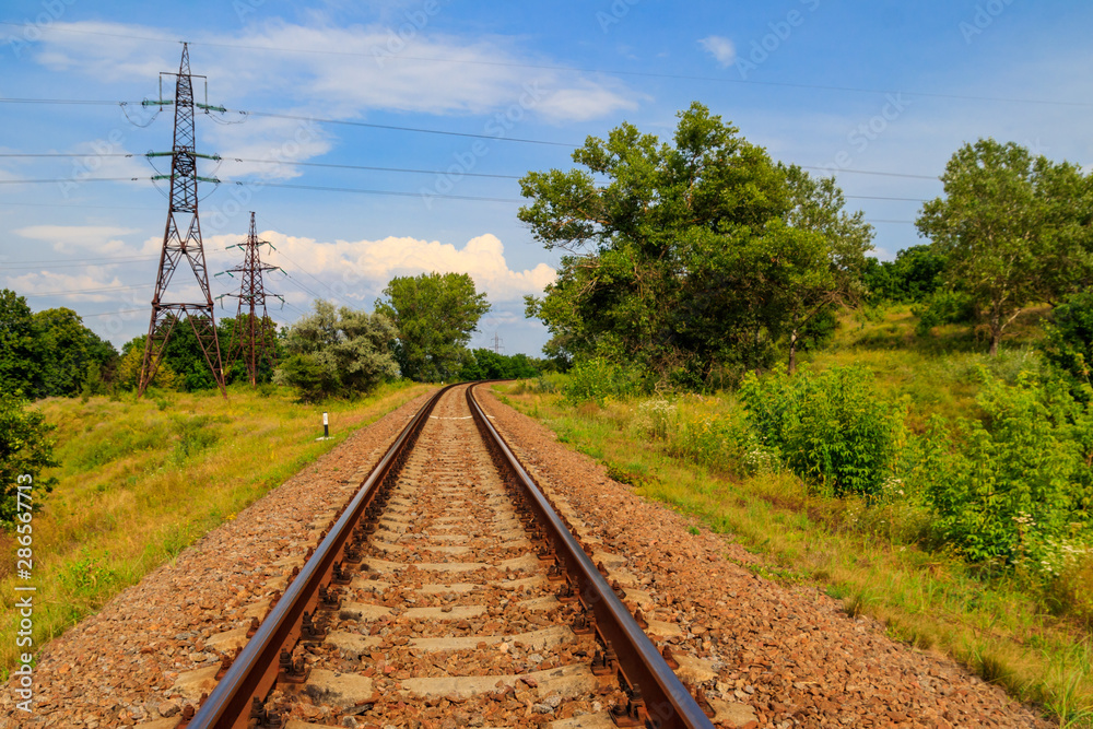Railroad track through a green pine forest Railroad track through a green pine forest