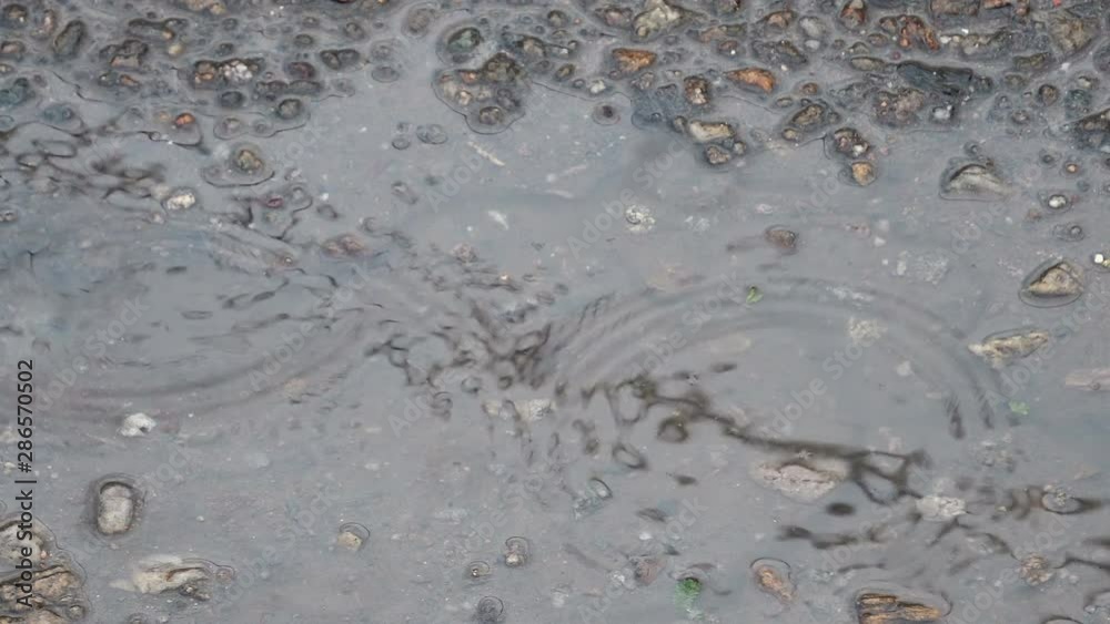 Closeup of light rain on asphalt puddle surface
