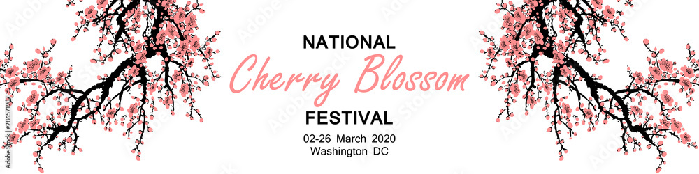 Fototapeta premium Cherry Blossom Event Template with Branch with Pink Cherry Flowers Blooming. Sakura Blossoming Festival Banner. Chinese or Japanese Traditional Tree. Vector