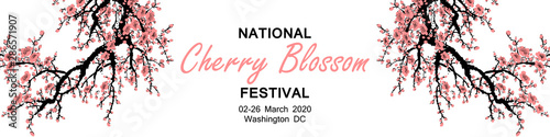 Cherry Blossom Event Template with Branch with Pink Cherry Flowers Blooming. Sakura Blossoming Festival Banner. Chinese or Japanese Traditional Tree. Vector