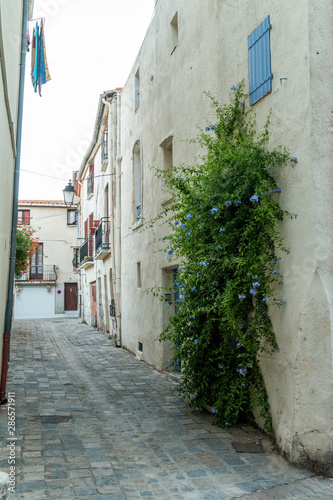 les ruelles du vieux Mèze