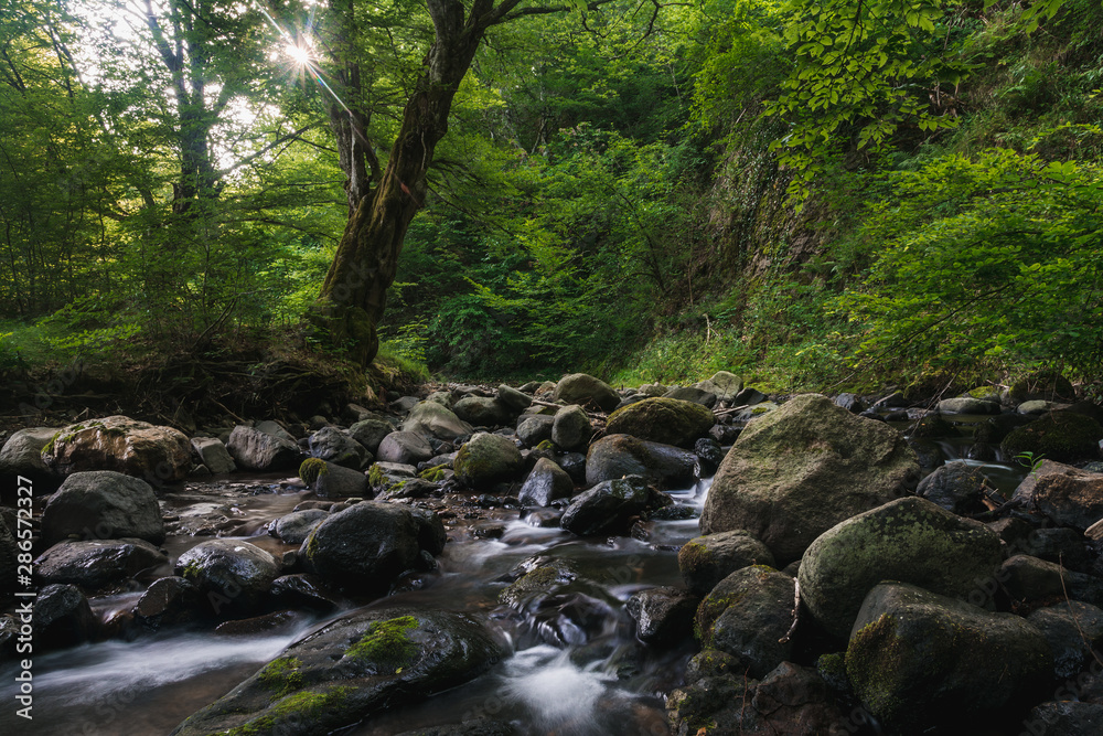 Small river and mossy rocks in a green forest. Peaceful landscape scene. Small river and mossy rocks in a green forest. Peaceful landscape scene.