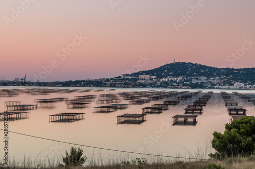 Parc à huitre et vue sur Sète