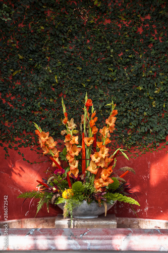 Autumn orange flower bouquet composition on the bright red wall background with green leaves. 