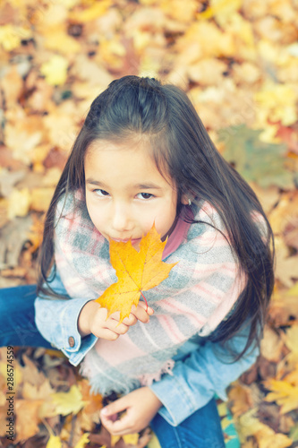 portrait eines hübschen kindes mit ahornblättern im herbst
