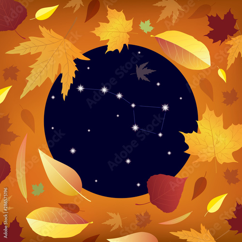 Vector autumn illustration with leaves and stars. Beautiful background with warm colors and Ursa Major constellation