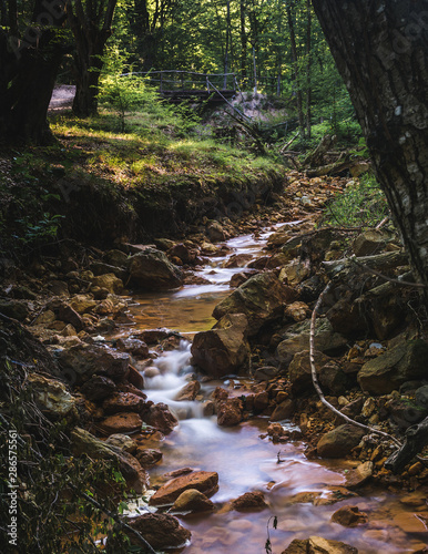 Bild auf Leinwand Small red creek in the forest near Devil's town in southern Serbia