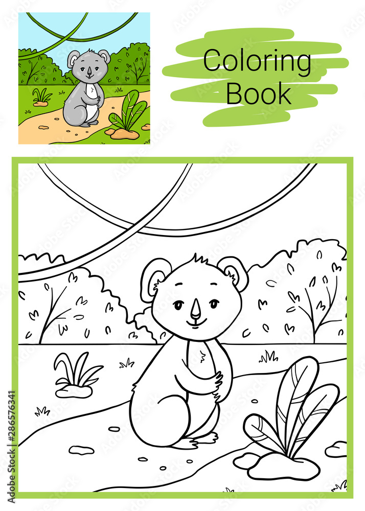 Obraz premium Koala. Coloring book.