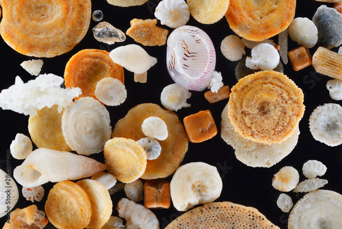 Extreme close-up of coral sand grains photo