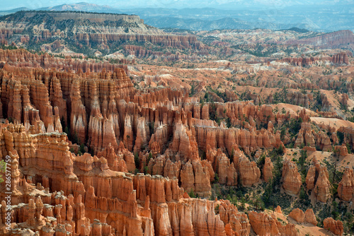 Bryce Canyon with a mixtures of hoodoos and trees