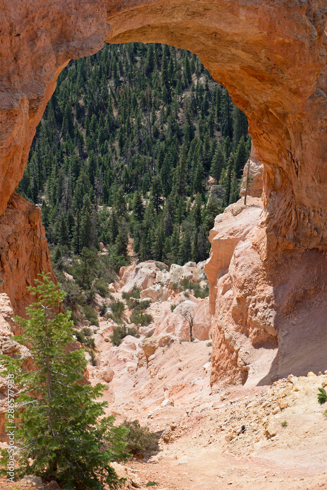 Close look through arch at Bryce Canyon