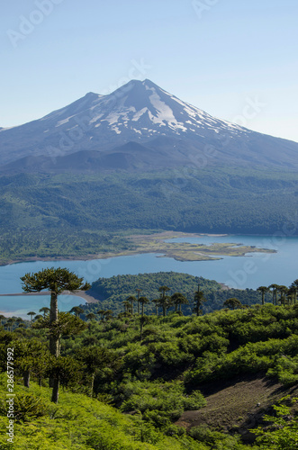 Parque Nacional Conguillio