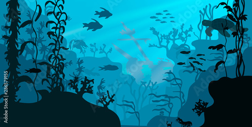 Sea underwater wildlife