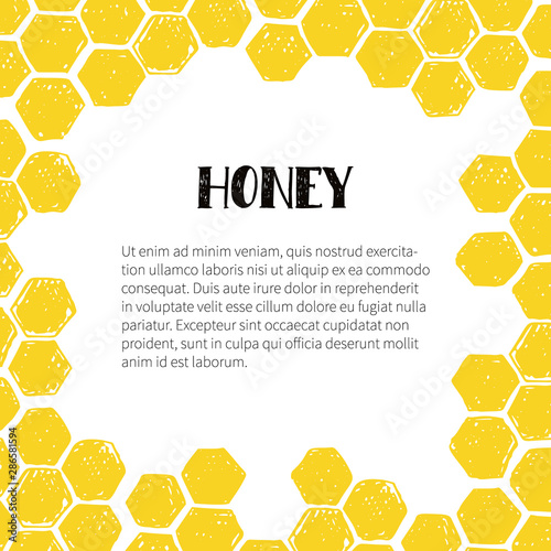 Honey frame with honeycomb.