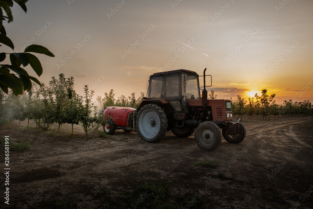 Naklejka premium Spraying trees in fruit orchard.