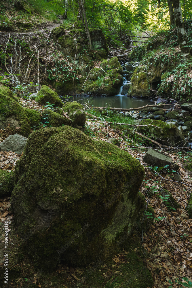 Small pond, waterfall and mossy rocks in the beautiful forest Small pond, waterfall and mossy rocks in the beautiful forest