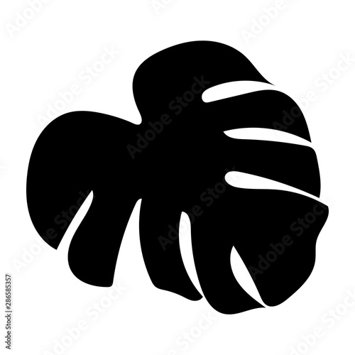 Black monstera leaf in beautiful style on white background. Element decorative floral. Tropical decoration plant leaf silhouette. Isolated vector design. Botanical drawing. White background.