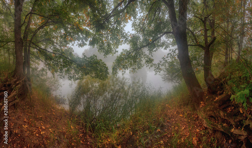 misty morning on the forest river. Russia