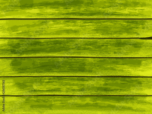 Green grunge abstract background. Old wooden wall