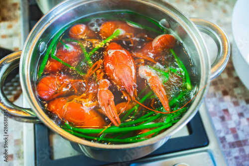 Boiled crayfish in a pan, greens of parsley, top view. ?rustacean cook in water with spices and herbs