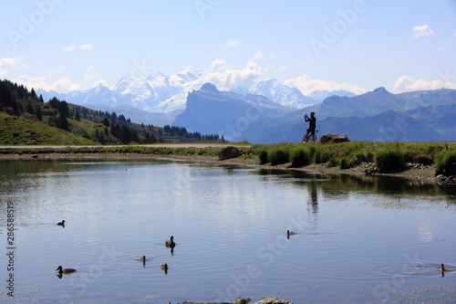 Obraz na płótnie Le Mont Blanc au col de Joux Plane w salonie