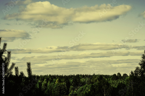 white fluffy clouds on a background of sky and forest