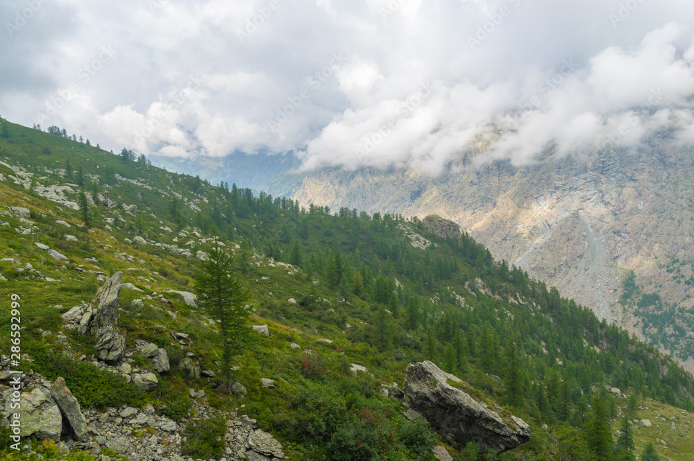 Fototapeta premium Val di Lanzo