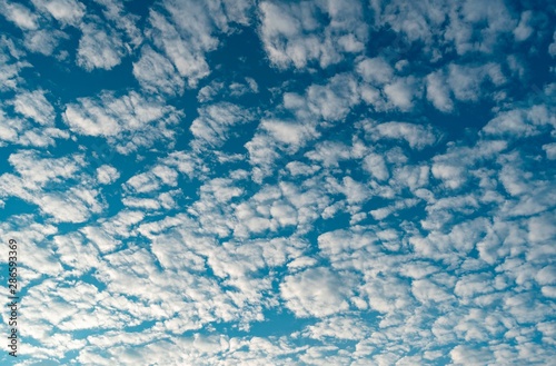 a low angle shot of blue sky with "cotton candy" clouds