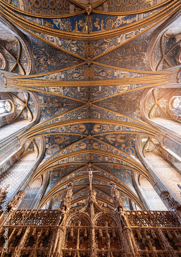 Ceiling of the Cathedral of Albi  France