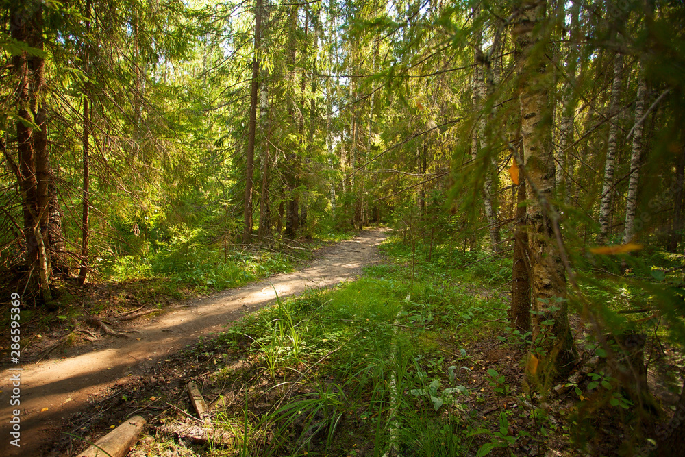Fototapeta premium autumn beautiful panoramic rural landscape