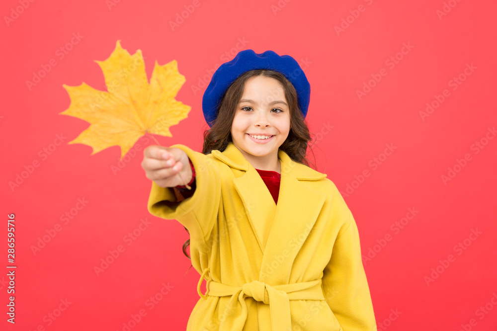 Small girl fall outfit red background. Hello october. Climate changes. Little girl welcome autumn. Kid girl cute face hold maple leaf. Enjoy season. Child with autumn yellow leaf. Autumn is here Small girl fall outfit red background. Hello october. Climate changes. Little girl welcome autumn. Kid girl cute face hold maple leaf. Enjoy season. Child with autumn yellow leaf. Autumn is here