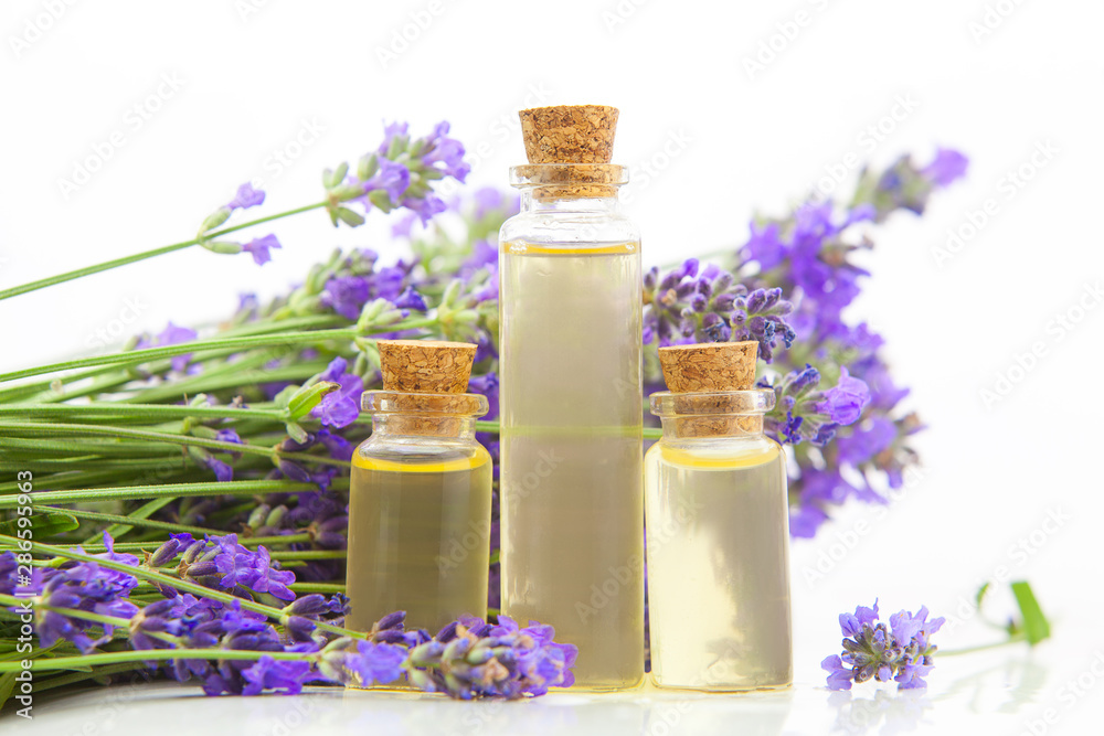 lavender essential oil in beautiful bottle on White background lavender essential oil in beautiful bottle on White background