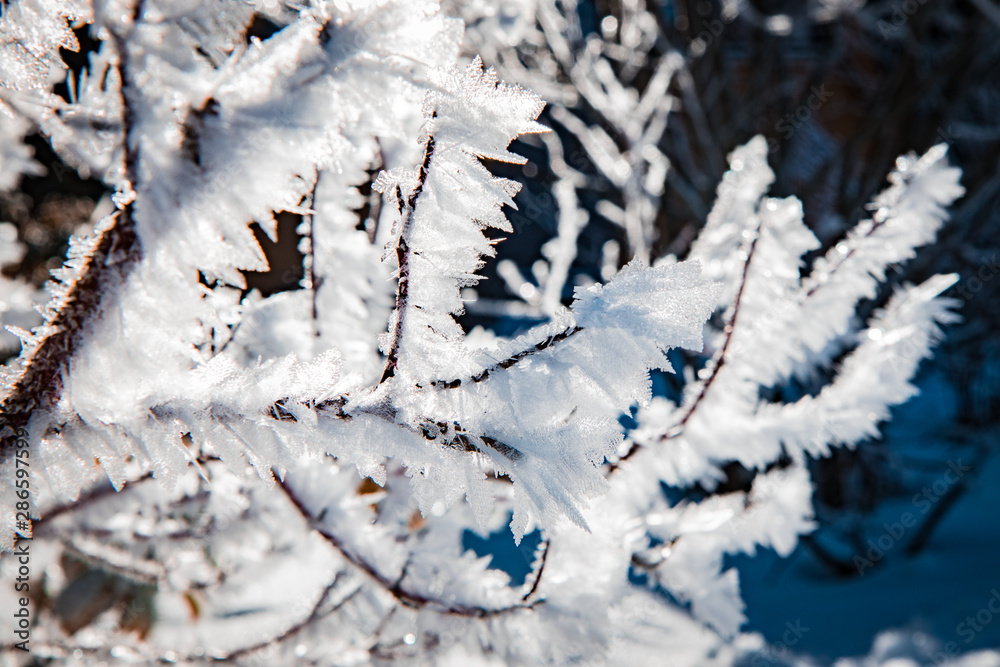 Winter3 Winter3