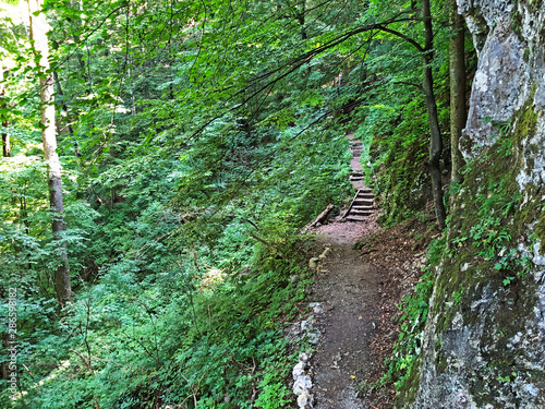 Counts trail or Poucna Grofova staza - Papuk nature park, Croatia photo