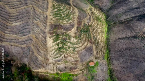 Aerial. Portuguese forest Monchique, after the fires view from the sky. photo