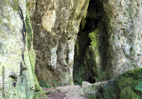 Counts trail or Poucna Grofova staza - Papuk nature park, Croatia photo