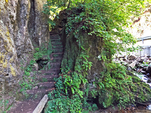 Counts trail or Poucna Grofova staza - Papuk nature park, Croatia photo