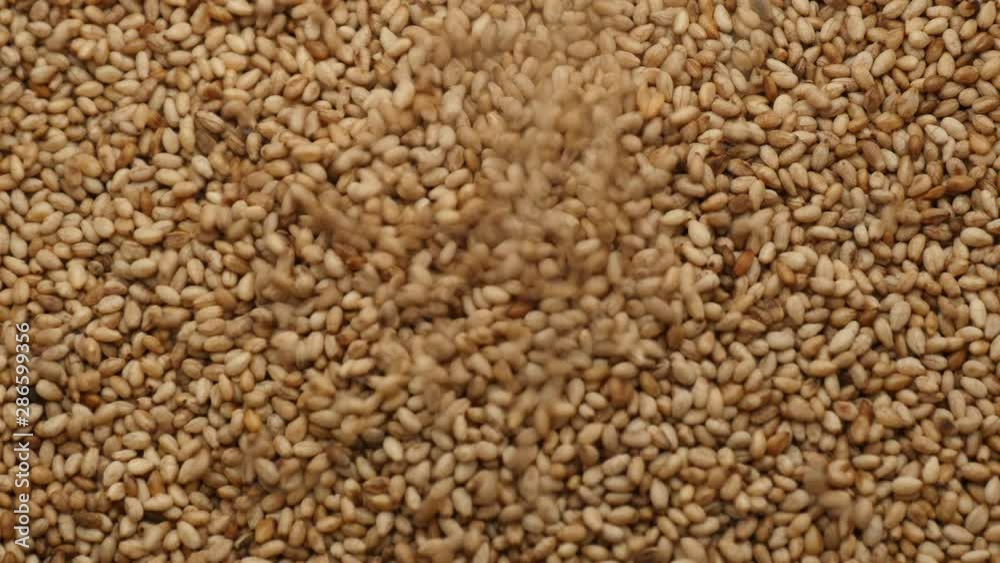 Sprinkling full of sesame seeds Sprinkling full of sesame seeds