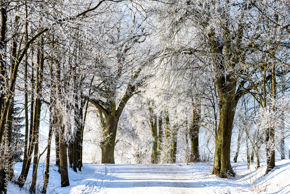 Fototapeta premium Landschaft im Winter in Masuren