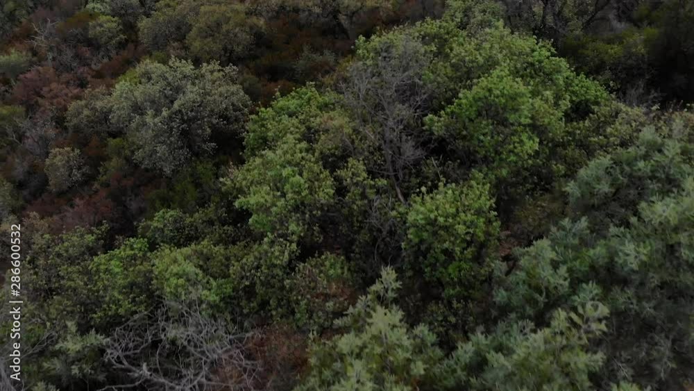 Aerial view of a DJI Mavic AIR drone of a landscape of a forest filled with trees Aerial view of a DJI Mavic AIR drone of a landscape of a forest filled with trees