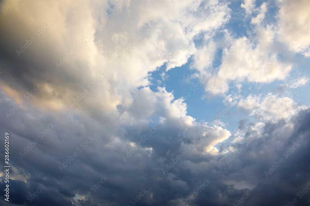 The wind spins white-blue cumulus clouds on a blue sky on a summer evening. The low sun illuminates the clouds below. The concept of an impending thunderstorm. Low clouds