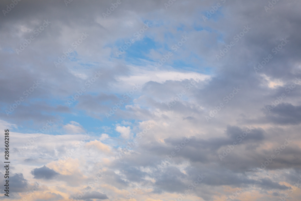 White cumulus clouds on a blue sky on a summer evening. Beautiful white clouds with blue sky background. Low clouds