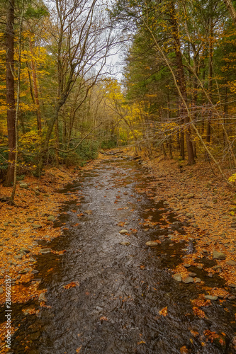 Dingmans Creek in the Poconos Mountains , Pennsylvania US.