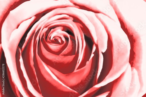 Abstracte roze roos aquarel schilderij