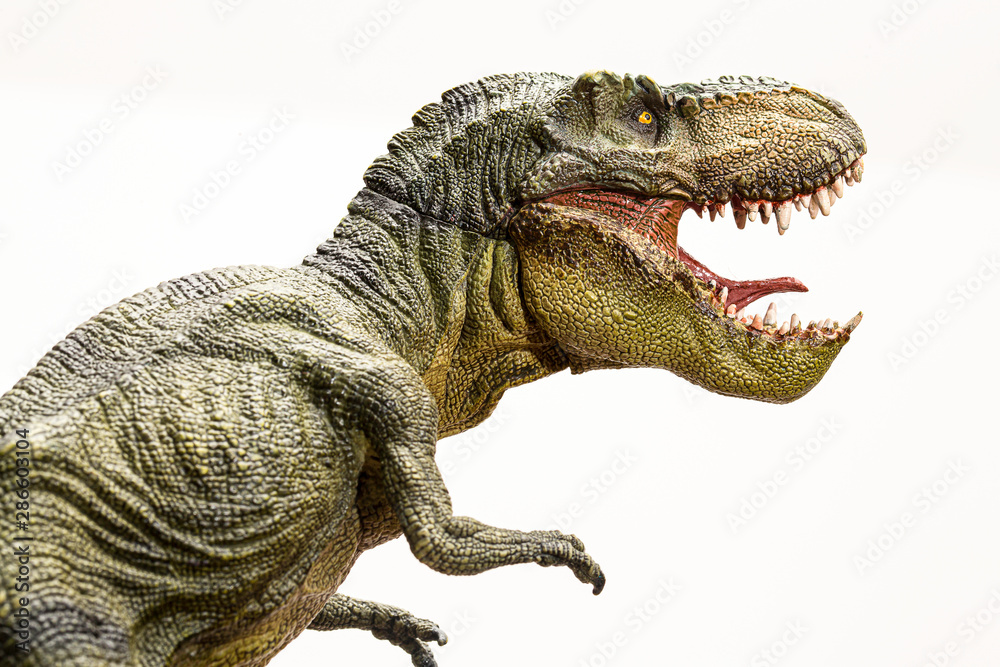 Obraz premium Tyrannosaurus rex dinozaur na białym tle model na białym tle