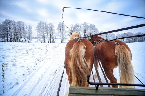 Fototapeta Naklejka Na Ścianę i Meble -  Schlittenfahrt im Winter in Masuren