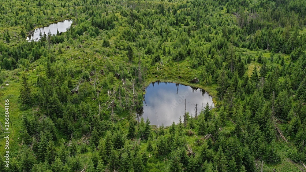 Aerial view of two smaller blind mountain lakes in High Tatras mountain, Slovakia, reflecting clouds in the skies, surrounded by coniferous forest recovering after heavy windstorm. 